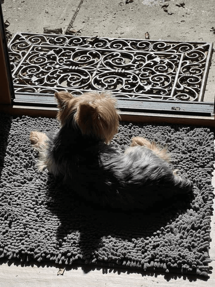 Muddy Mat Review One