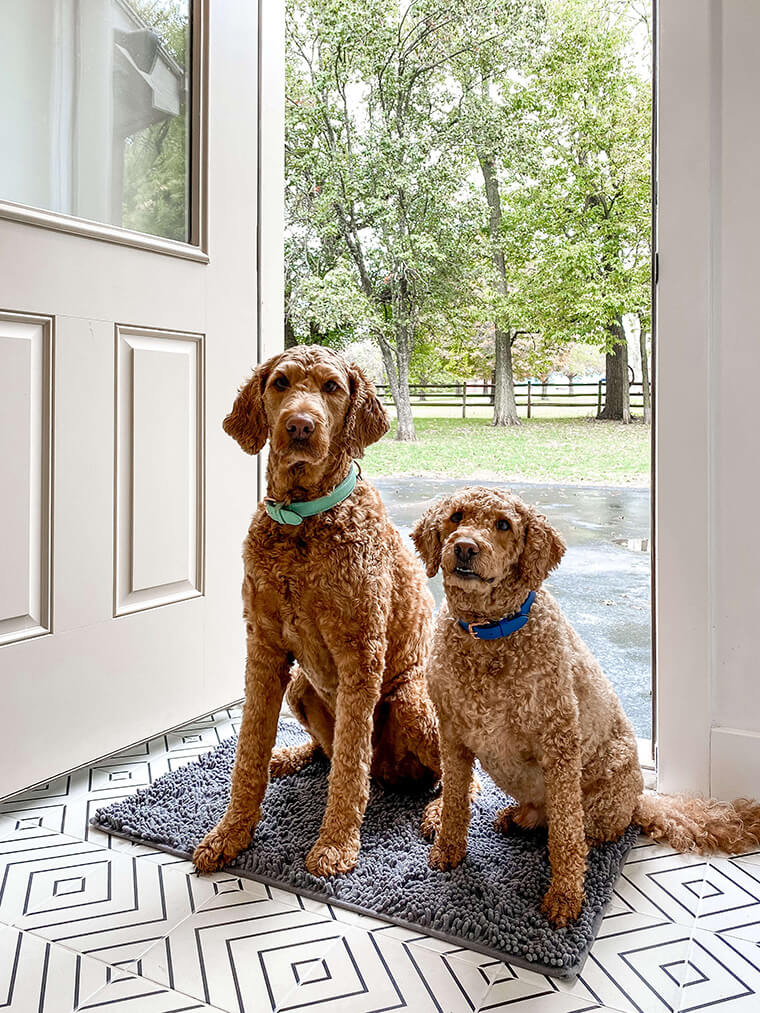 Muddy Mat Review Three