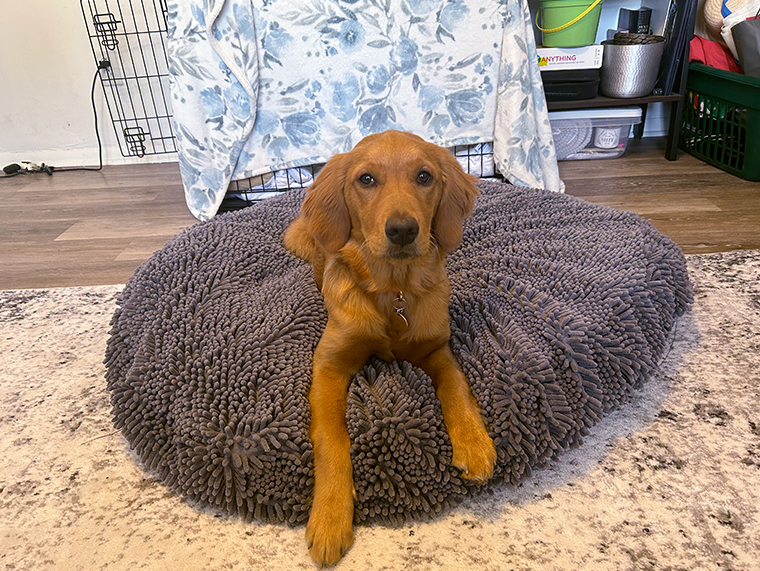 Muddy Mat Review Two