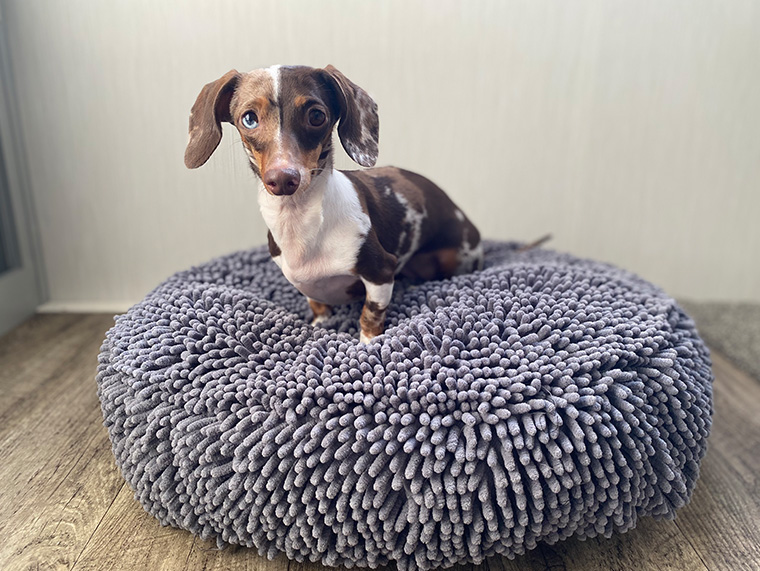 Muddy Mat Review Six