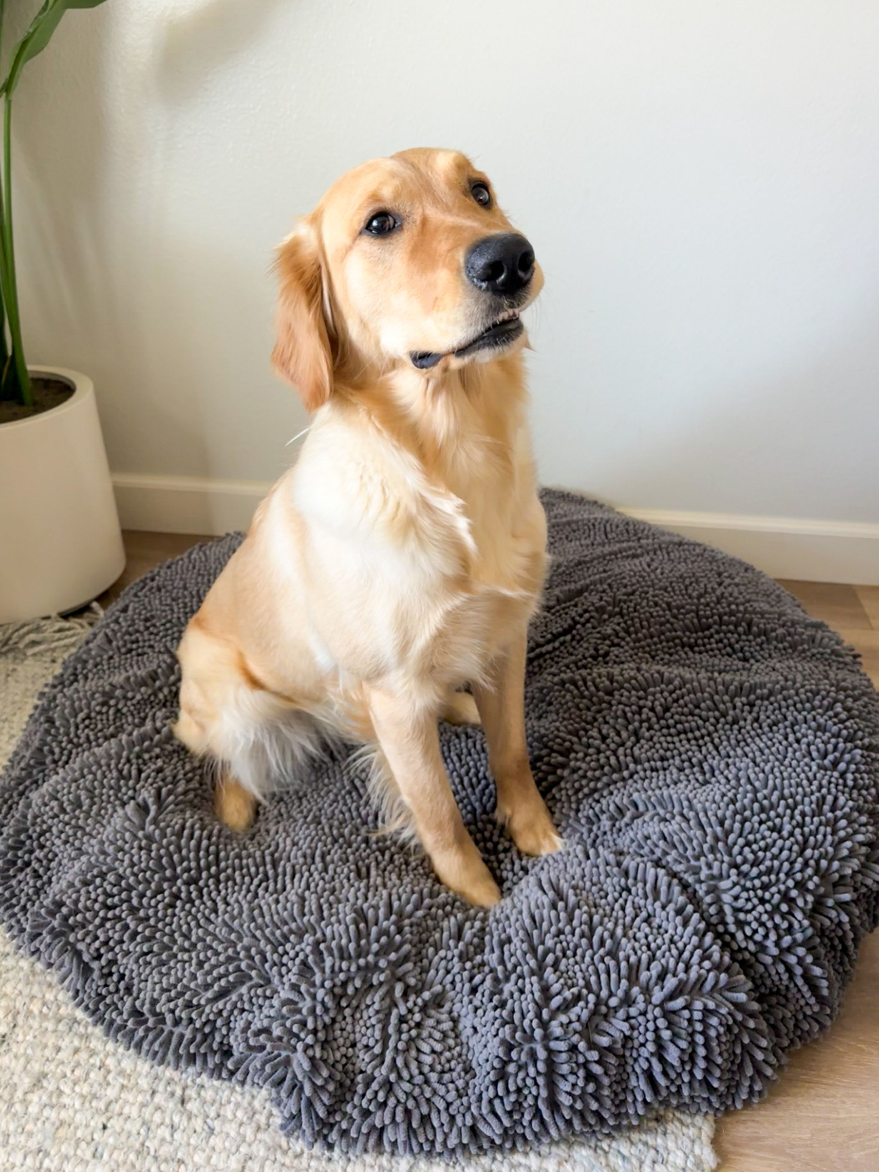 Muddy Mat Review Seven