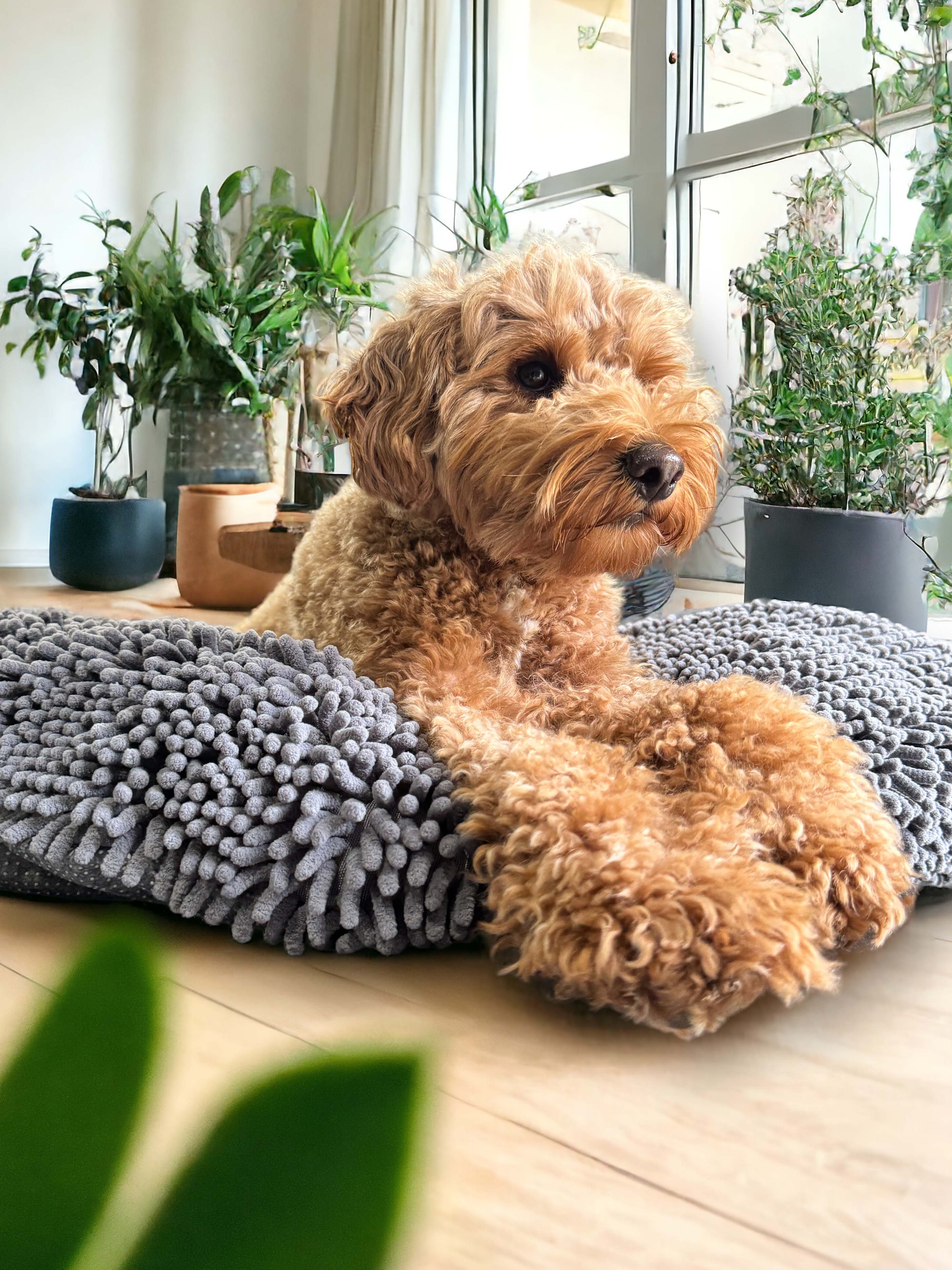 Muddy Mat Review Eight