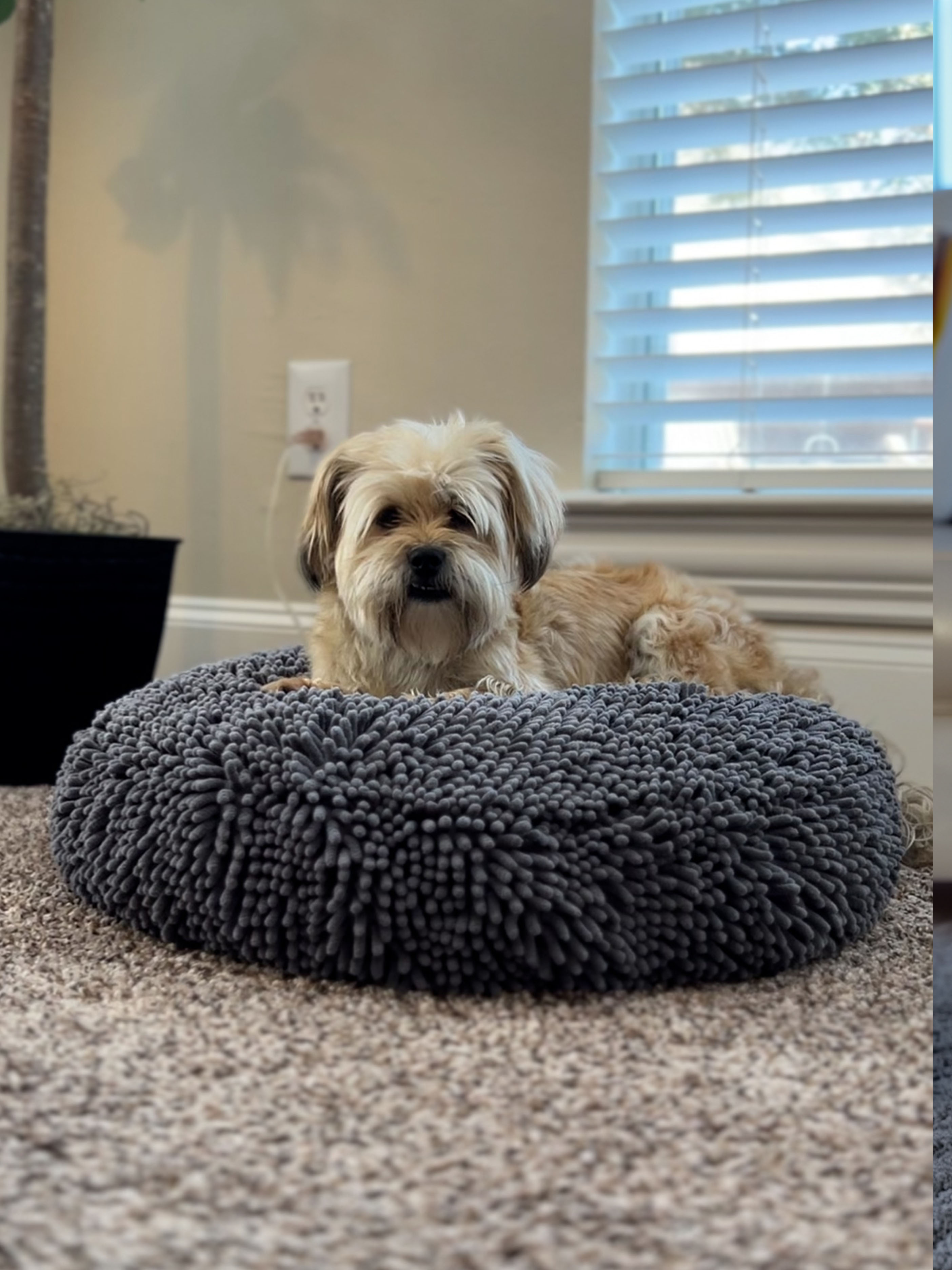 Muddy Mat Review One