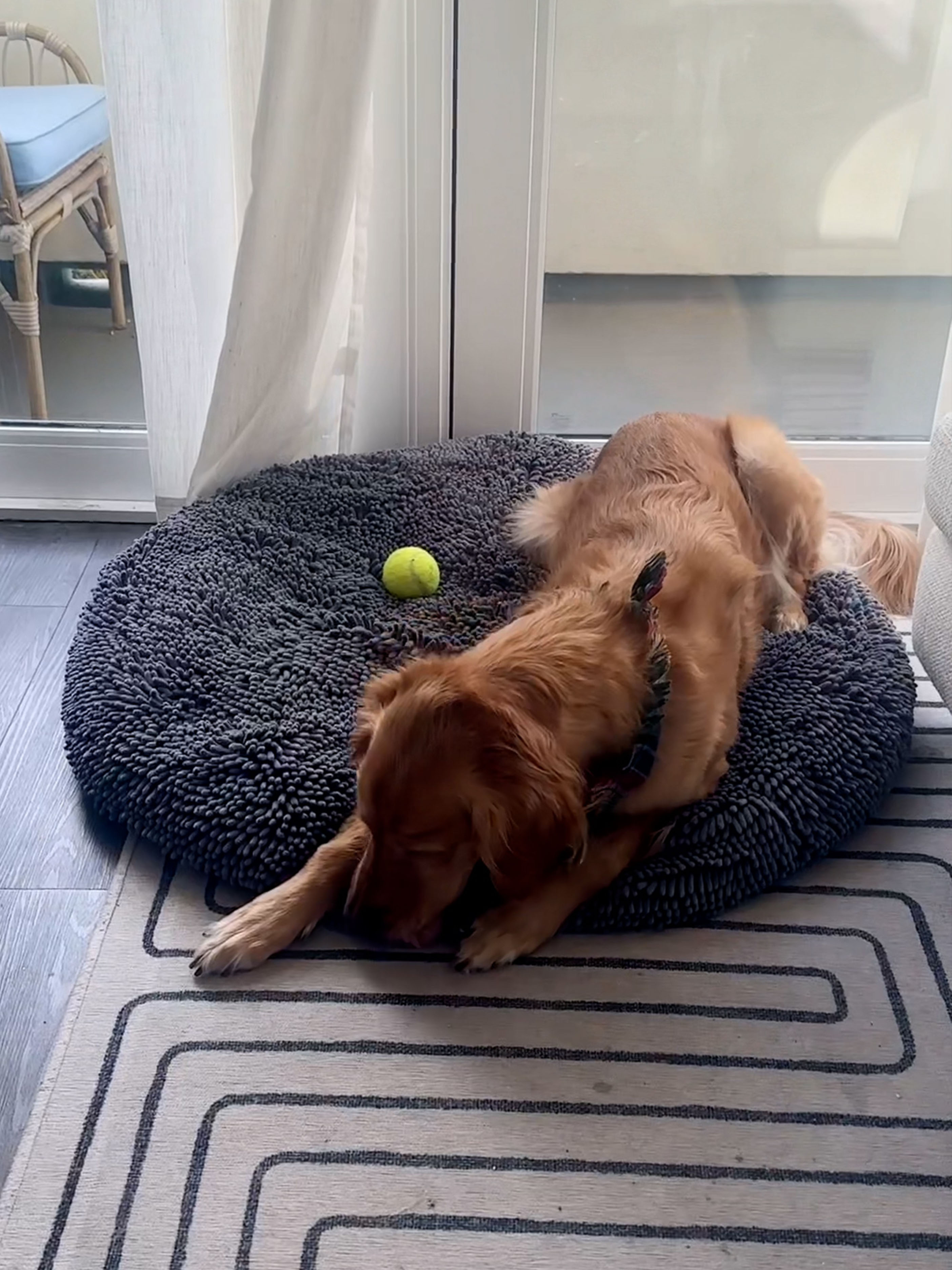 Muddy Mat Review Five